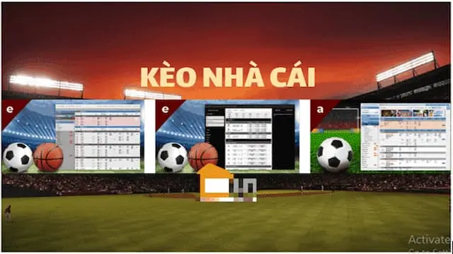 Giới thiệu cơ bản về kèo nhà cái World Cup