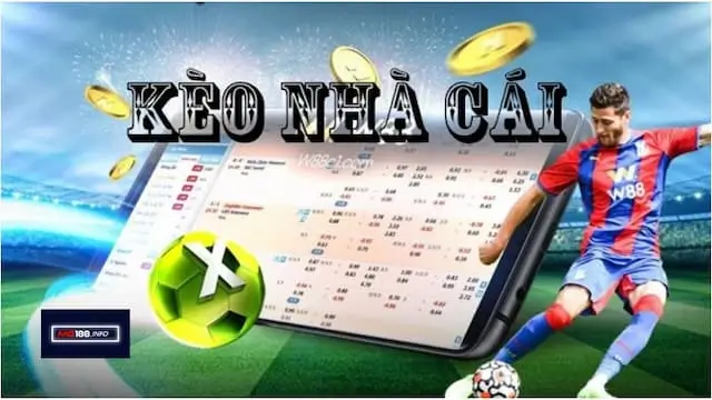 Những tiêu chí khi chọn nhà cái và kèo nhà cái World Cup